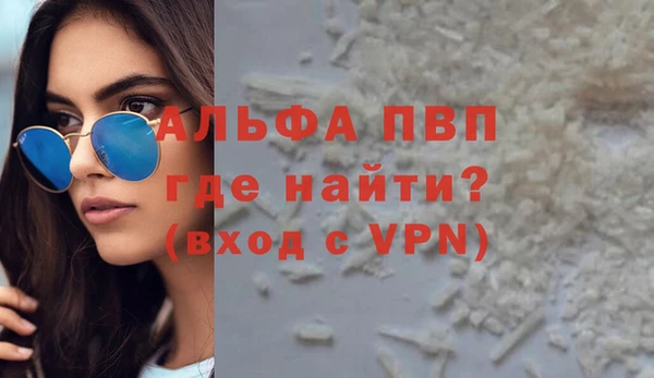 спайс Ладушкин