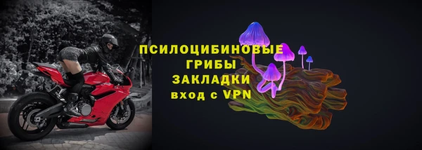 спайс Ладушкин