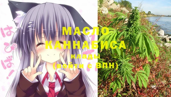 спайс Ладушкин