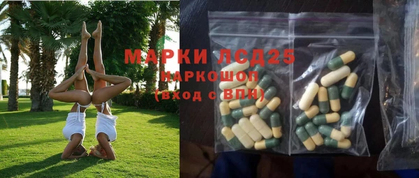 спайс Ладушкин