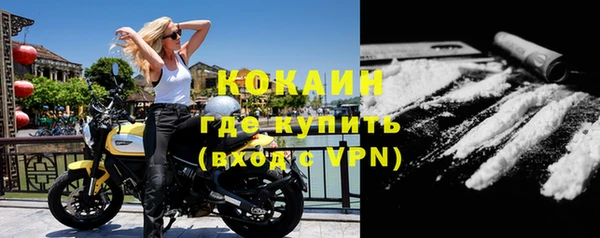 спайс Ладушкин