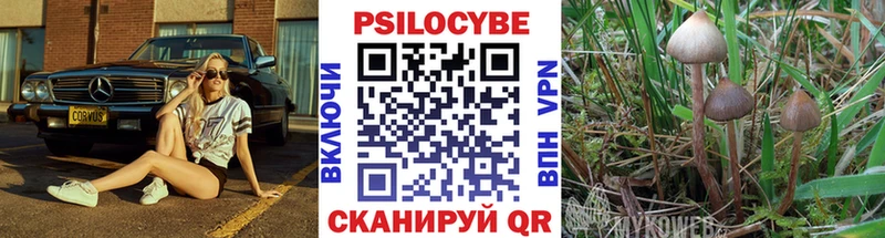 Купить  Анива  Галлюциногенные грибы MAGIC MUSHROOMS 